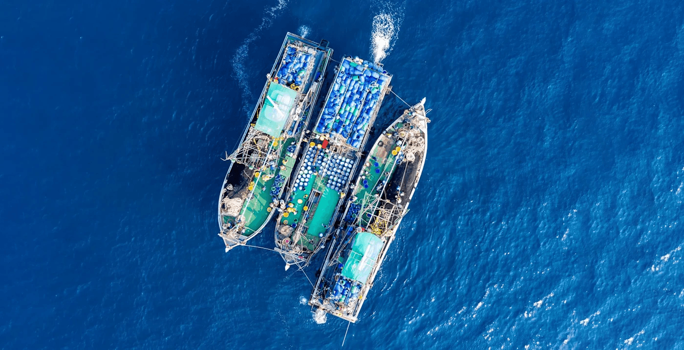 Picture of three ships